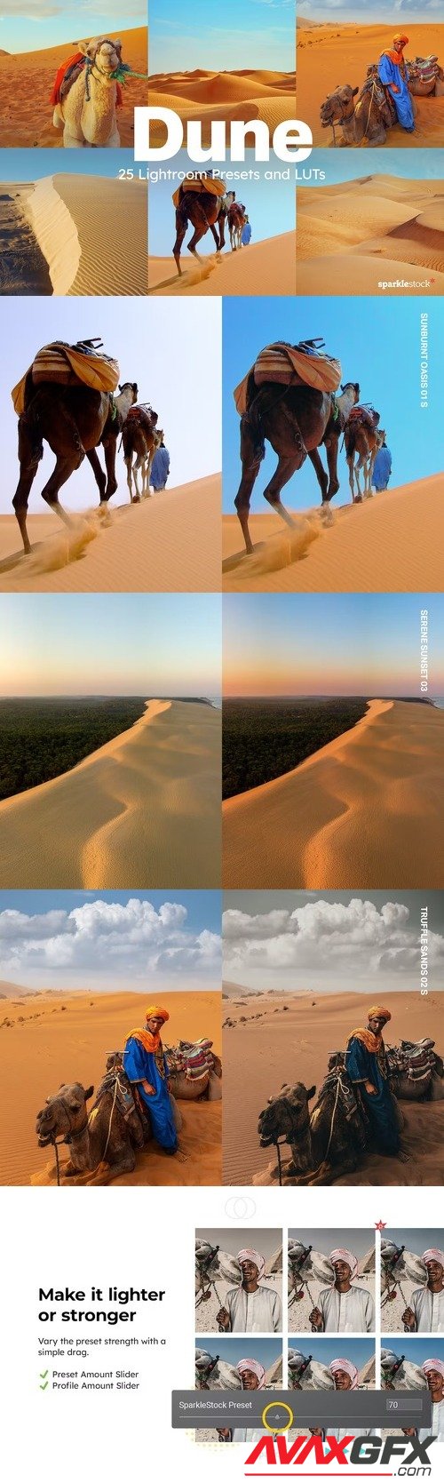 25 Dune Lightroom Presets and LUTs