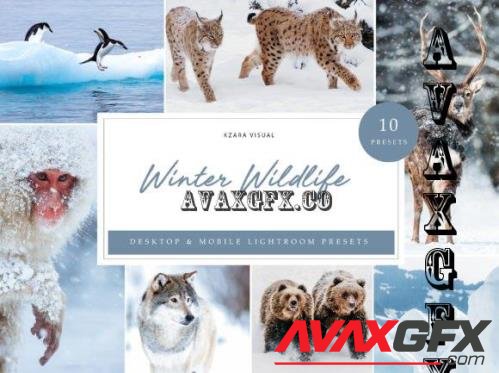 10 x Winter Wildlife Lightroom Presets - 10971867
