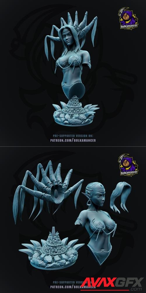 Nocticula - Pathfinder - Wrath of the Righteous bust – 3D Print