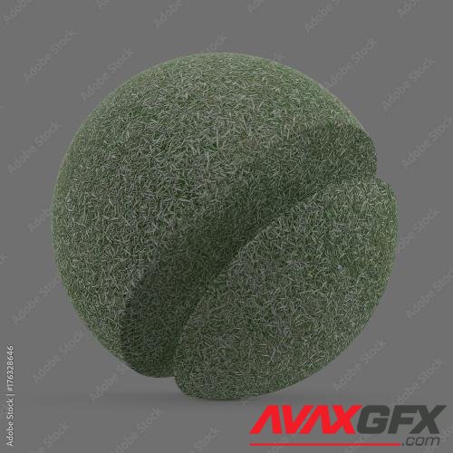 Adobestock - Painted hybrid grass 176328646
