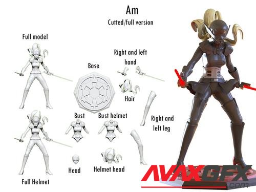 Am – 3D Print