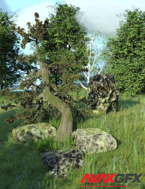 The Druids Grove - A Mystical Scene