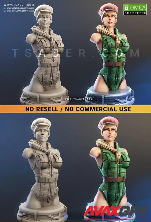 Agent Cammy Bust – 3D Print