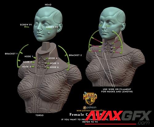 Hex3D - Female Cenobite v2 – 3D Print