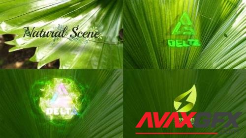 Videohive - Nature Logo Reveal 43254659