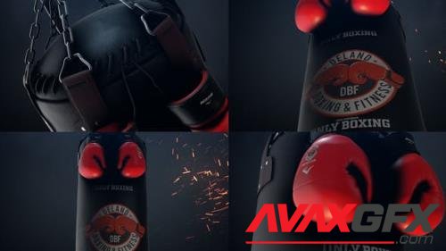 Videohive - Boxing Gloves Logo Reveal 25009365