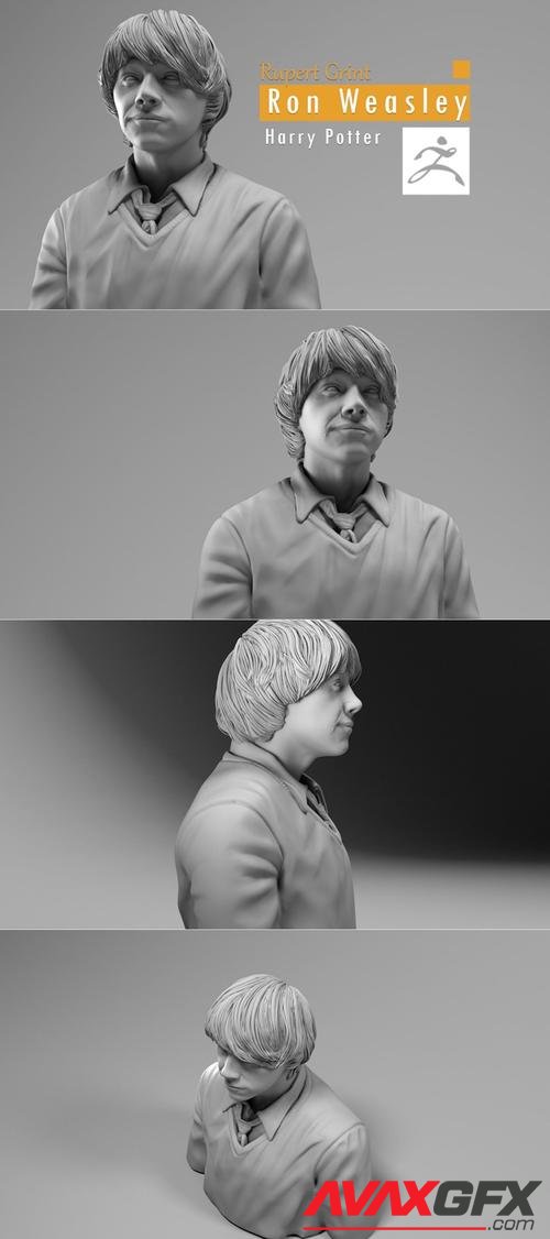 Rupert Grint - Ron Weasley - Harry Potter – 3D Print