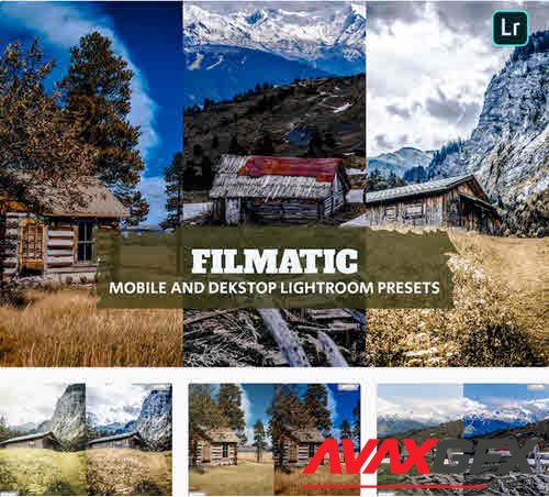 Filmatic Lightroom Presets Dekstop and Mobile - SHMUGE5
