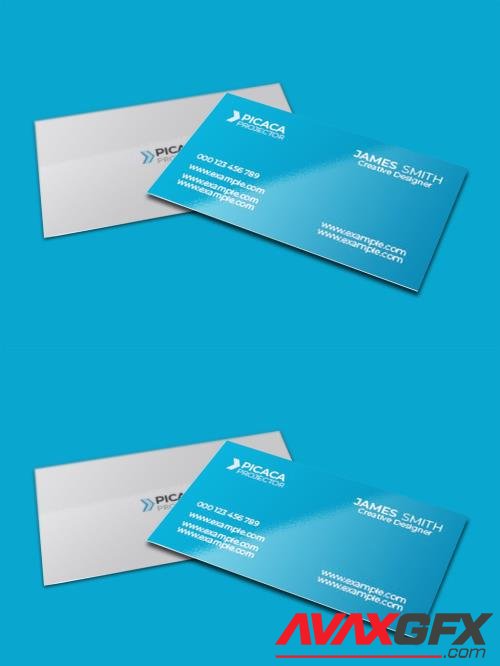 Adobestock - Picaca Business Card 532553378