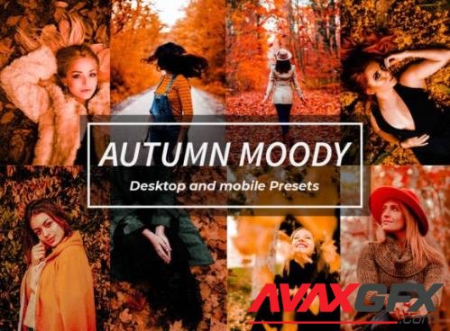 10 Autumn Moody Lightroom Presets