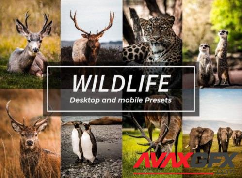 10 Wildlife Lightroom Presets