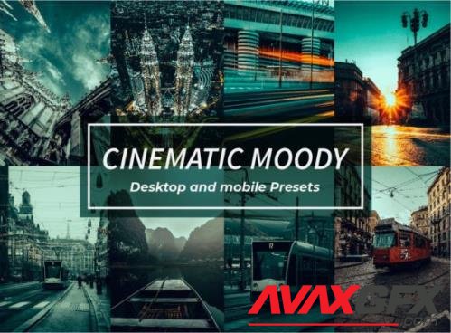 12 Cinematic Moody Lightroom