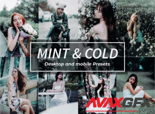 8 Mint & Cold Lightroom Presets