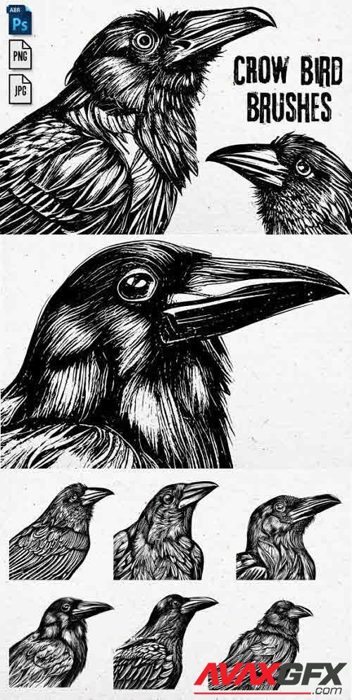 Crow Bird Brushes