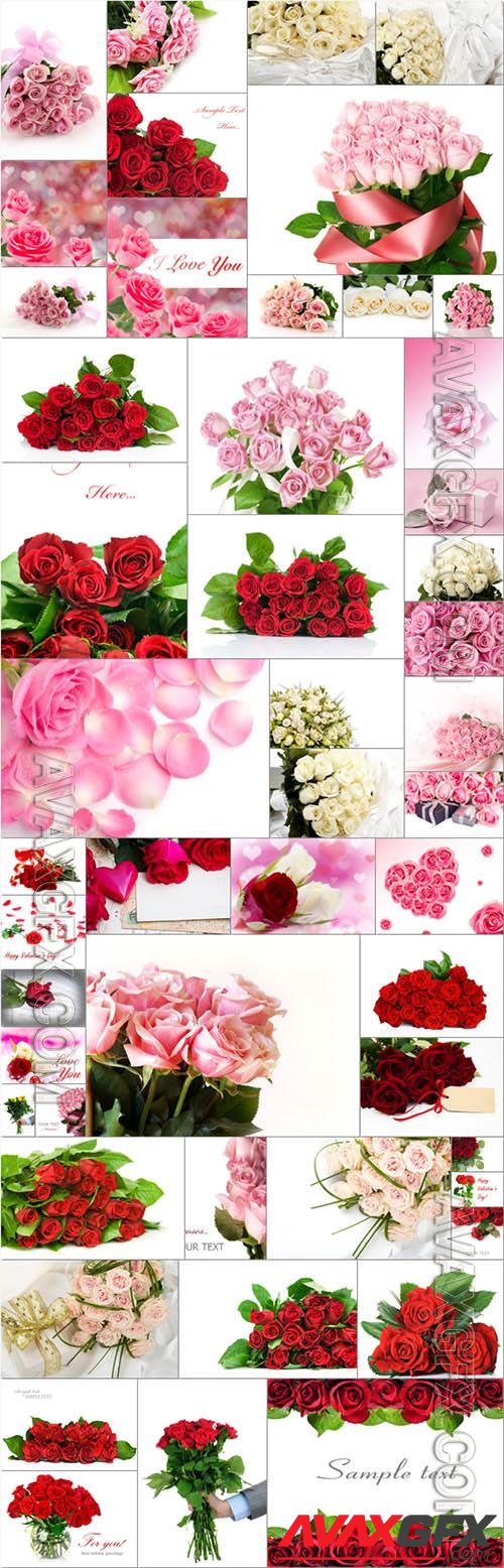 Beautiful roses, flowers - 50 stock photo collection