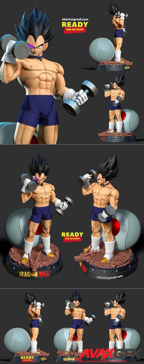 Vegeta with gym 3D Print