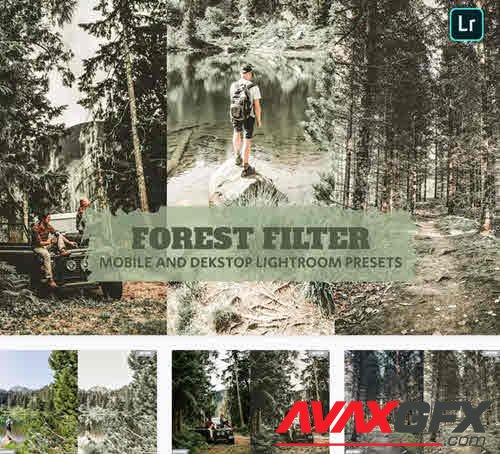Forest Filter Lightroom Presets Dekstop and Mobile - YPFS8PA