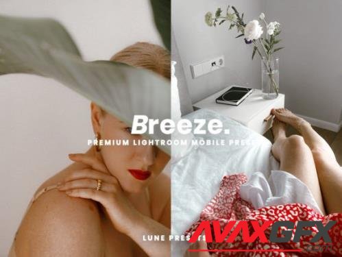 Breeze Lightroom Presets