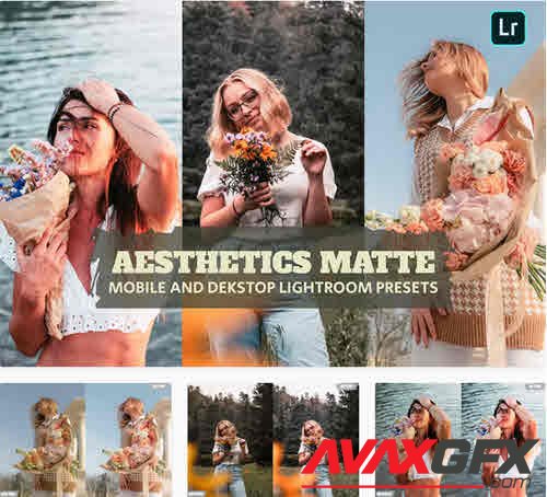Aesthetics Matte Lightroom Presets Dekstop Mobile - 6B2AZ5M