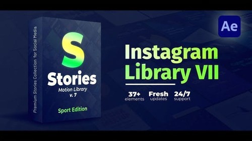 Instagram Stories Instagram Stories 43769479 [Videohive]