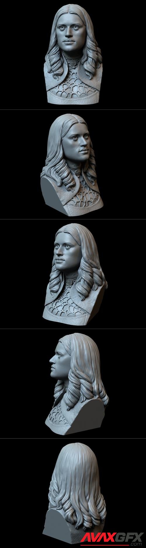 Yennefer of Vengerberg from The Witcher 3D Print