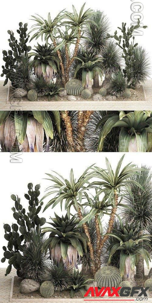 Collection Of Tropical Desert Plants 1108 design 3D Model