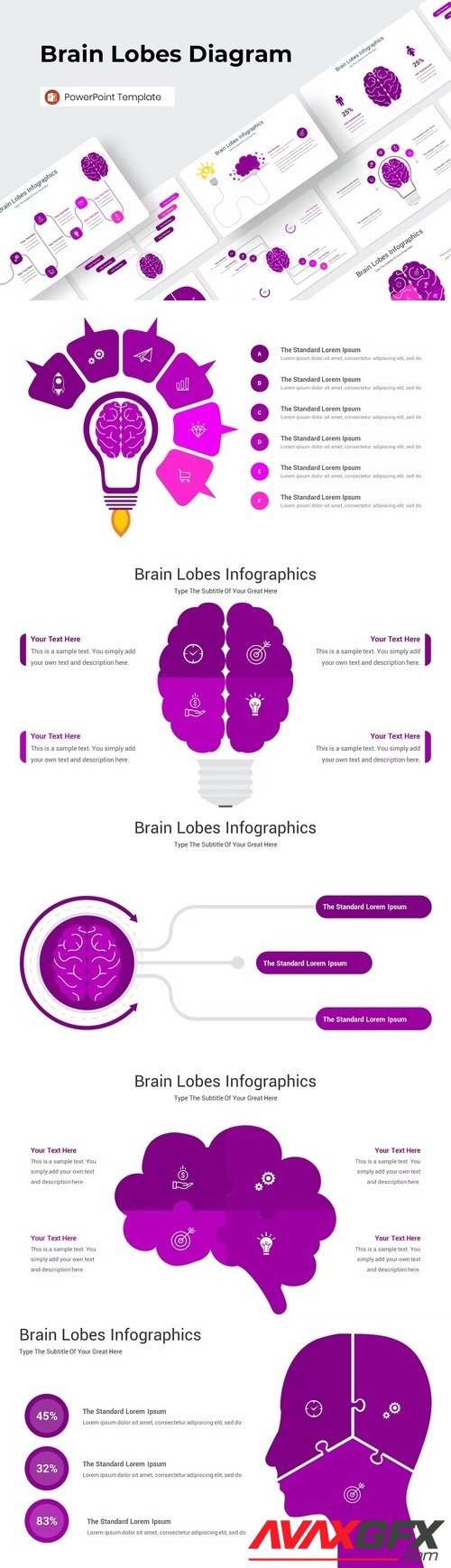 Brain Lobes Diagram PowerPoint Template [PPTX]