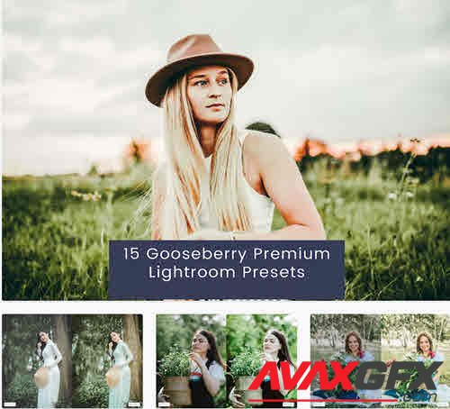 15 Gooseberry Premium Lightroom Presets - E6QPGVQ