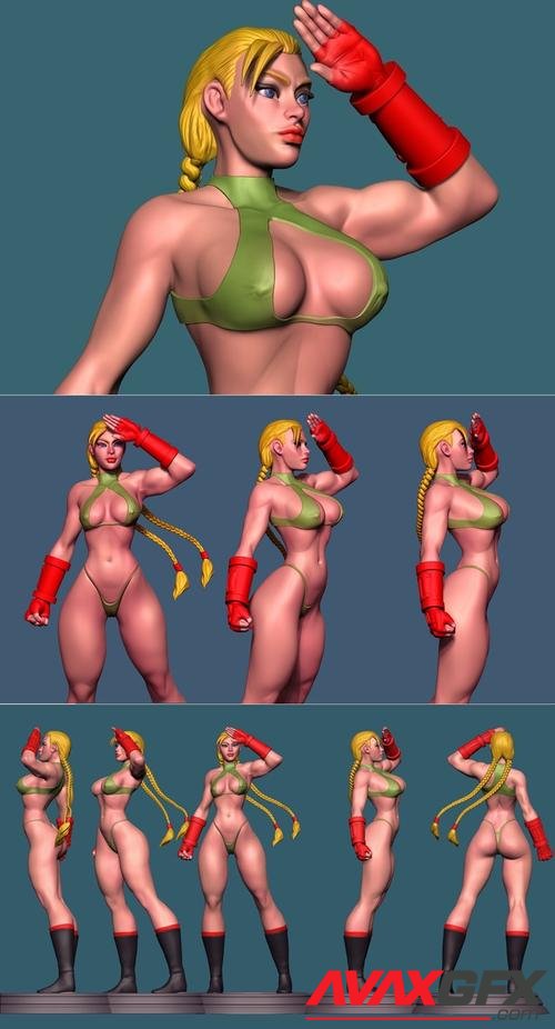 Cammy Bikini - Brianmiroglio 3D Print