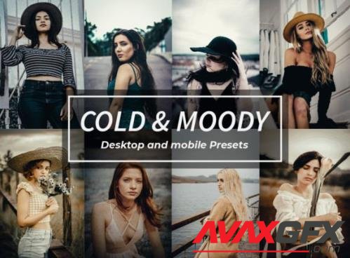 8 Cold & Moody Lightroom Presets