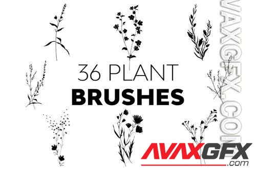 Plant Brushes [ABR]