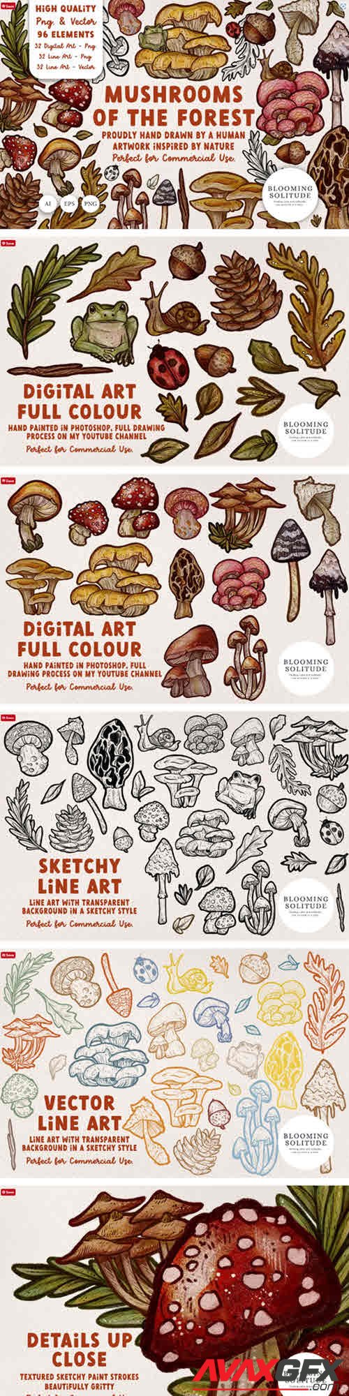 Mushrooms of the Forest Clipart Set - 13427494