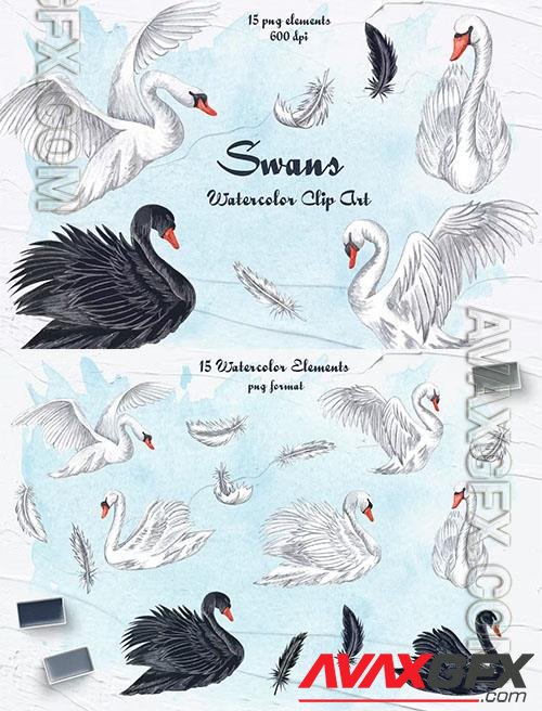 Swans Watercolor Clipart [PNG]