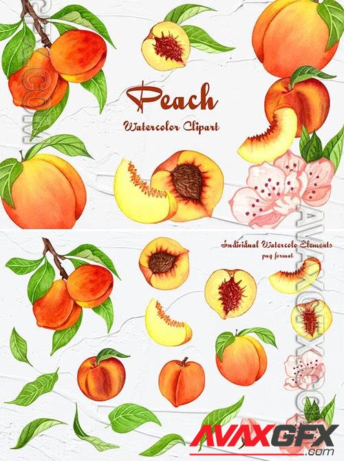 Peach Watercolor Clipart [PNG]