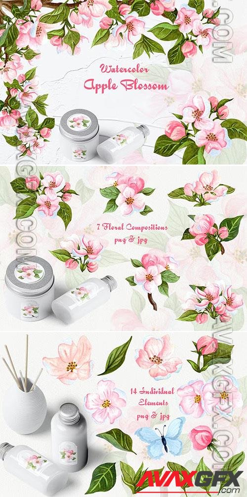 Apple Blossom Watercolor Clipart [PNG]