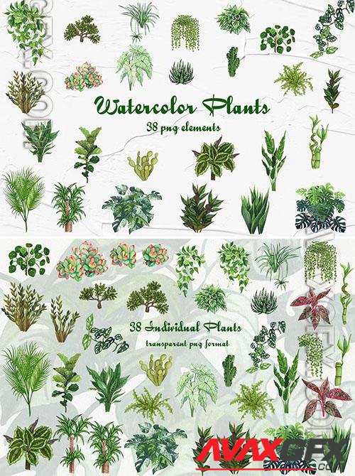 Watercolor Houseplants Clipart Design [PNG]