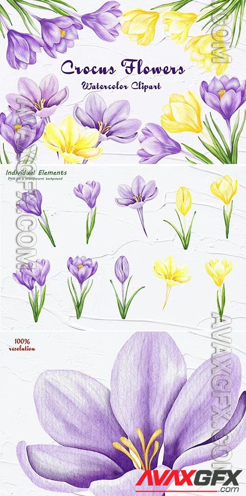 Crocus Clipart, Spring Flowers Design [PNG]