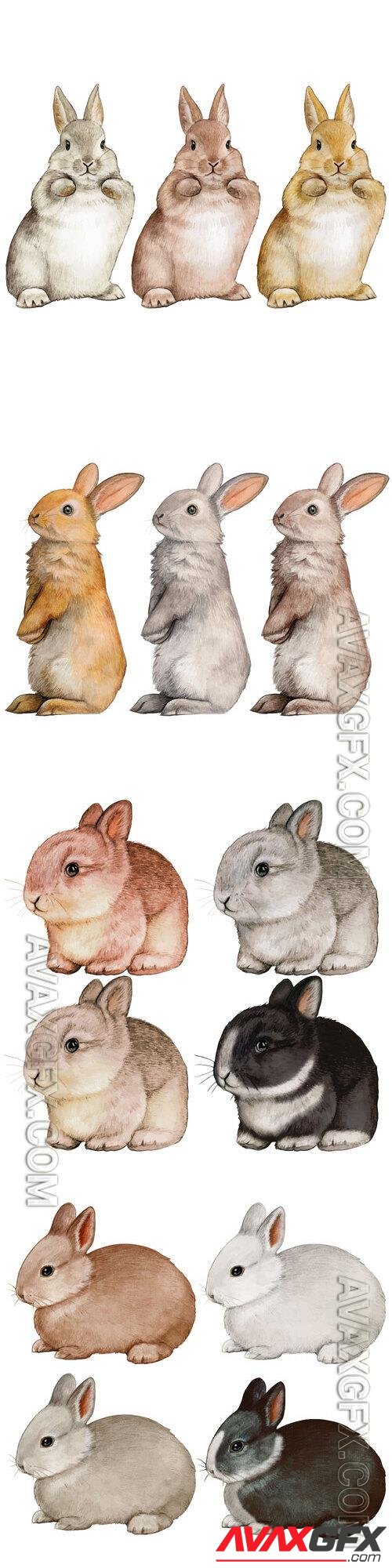 Hand drawn bunny collection - Watercolor vector illustration