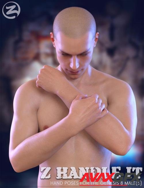 Z Handle It - Hand Poses for Genesis 8 Male