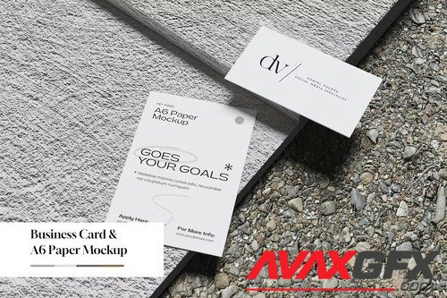 Business Card and A6 Paper Mockup [PSD]