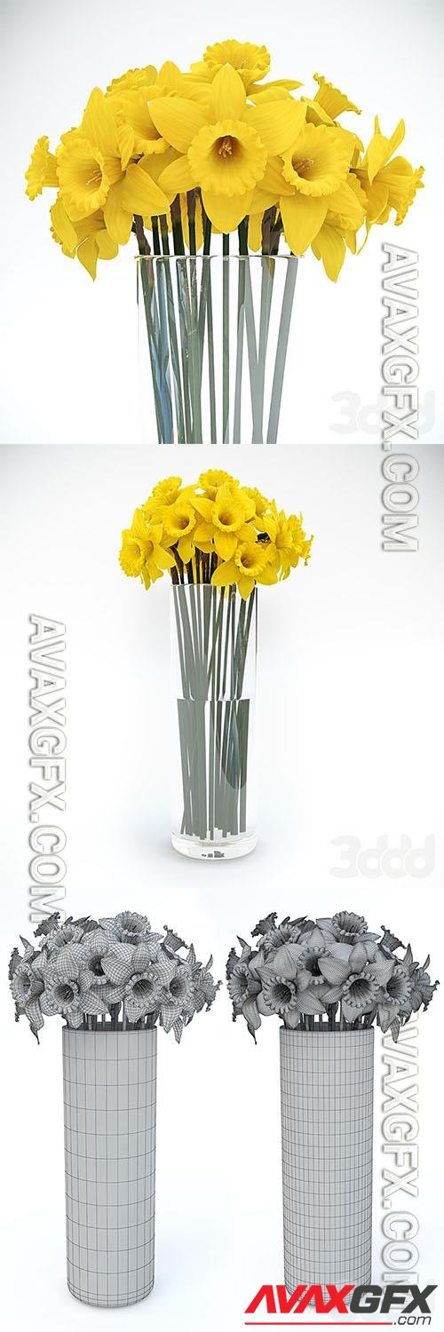Spring flowers trumpet daffodil 3d model