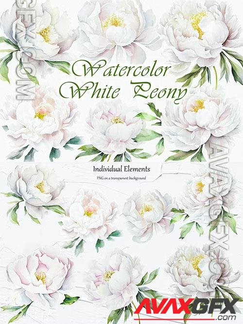 White Peony Watercolor Clipart [PNG]