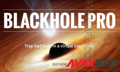 Blackhole Pro v3.3 - Trap Bad Bots In a Virtual Blackhole NULLED
