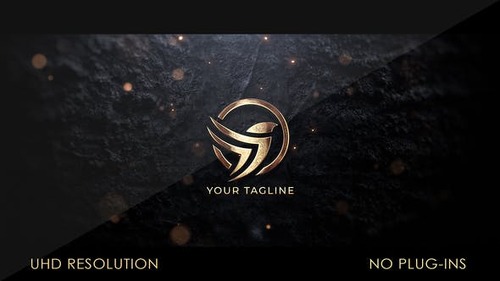 Gold Logo Reveal 44378516 [Videohive]