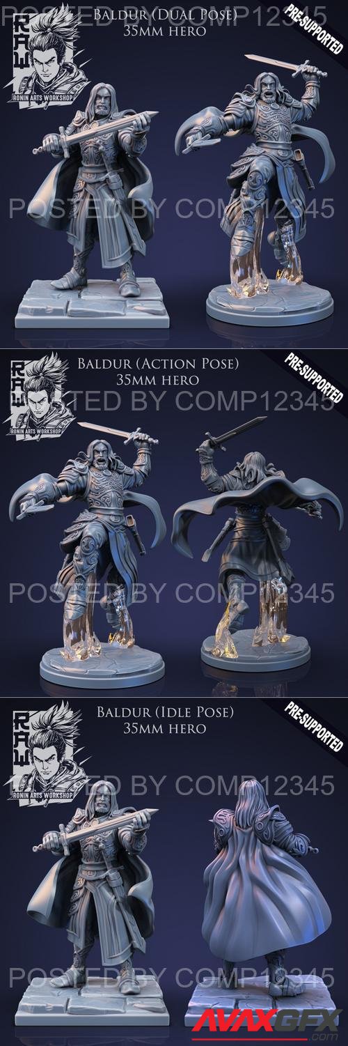 Baldur The Fighter - Idle and Action Pose 3D Print