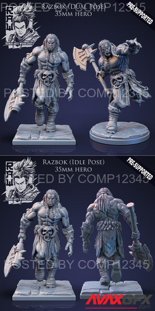 Razbok The Barbarian - Idle and Action Pose 3D Print