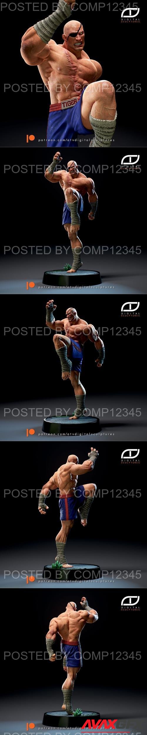 Sagat - Street Fighter 3D Print