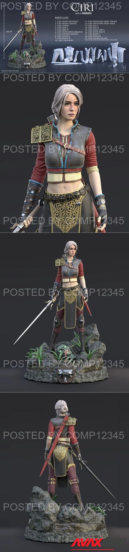 Ciri - Alternate Look - The Witcher 3 3D Print