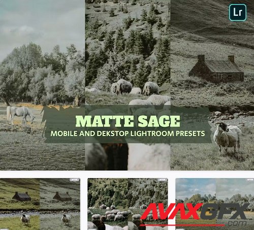 Matta Sage Lightroom Presets Dekstop and Mobile - RG9J9XN