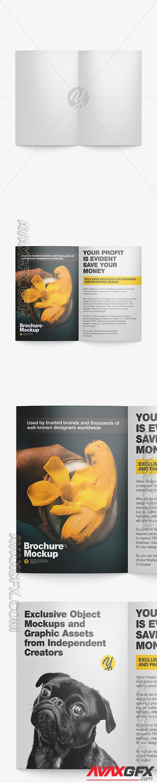 Glossy Brochure Mockup 50557 [TIF]